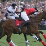 Polo, Commercial Wedding Photographers: Photoscience.co.uk